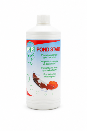 Pip pond start